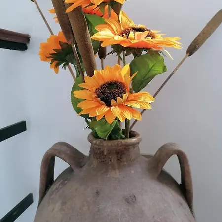 La Musa Di